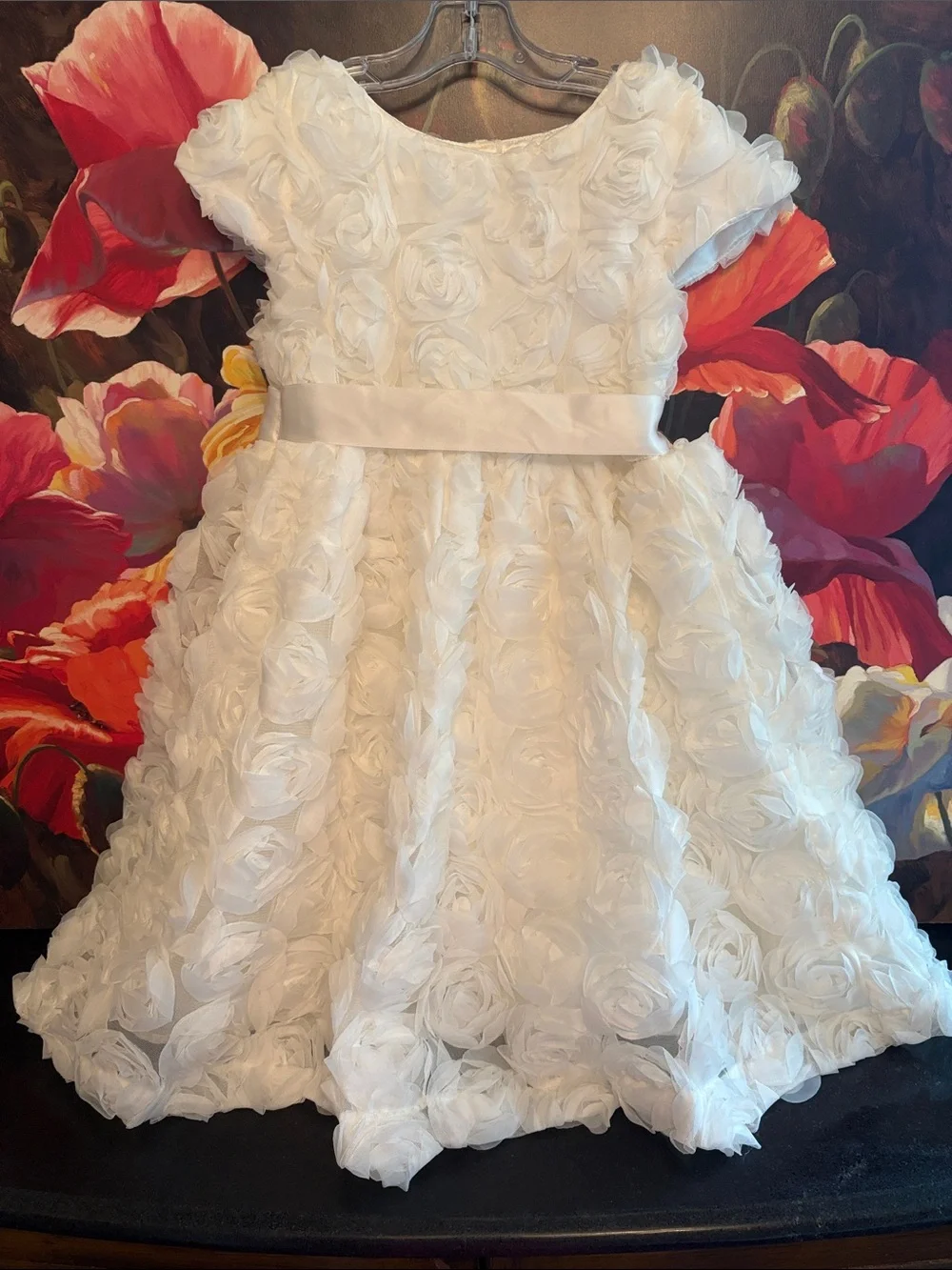 NWOT Gymboree White Rosette Party Dress